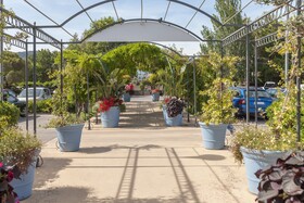 Pierre & Vacances Résidence Les Rives de Cannes Mandelieu