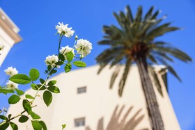 Best Western Plus Hotel Brice Garden Nice
