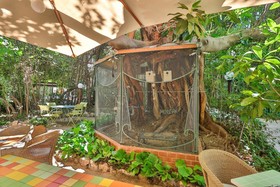 Le Windsor, Jungle Art Hotel