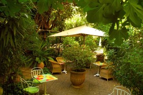 Le Windsor, Jungle Art Hotel