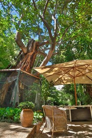 Le Windsor, Jungle Art Hotel