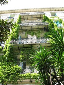 Le Windsor, Jungle Art Hotel