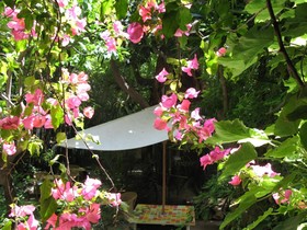 Le Windsor, Jungle Art Hotel