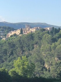 Villa Mimosa
