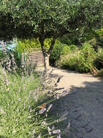 Villa Mimosa