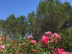 Villa Saint Tropez