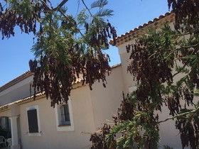 Villa Saint Tropez