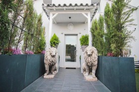 Lion Blanc