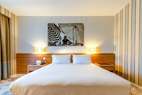 Holiday Inn Nice - Saint Laurent Du Var