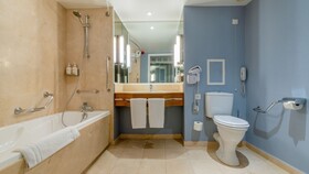Holiday Inn Nice - Saint Laurent Du Var