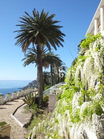 Villa Saint Camille