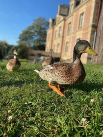 Chateau Cote De Nacre