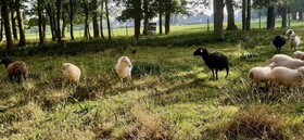 Chateau Cote De Nacre