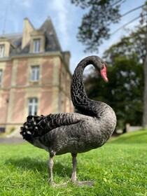 Chateau Cote De Nacre