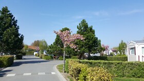Caravaning Les Cerisiers