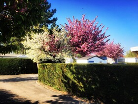 Caravaning Les Cerisiers