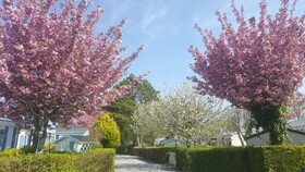 Caravaning Les Cerisiers
