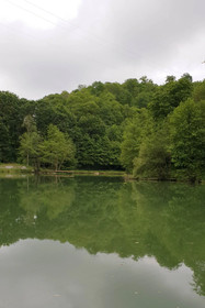Refuge Out Of The City