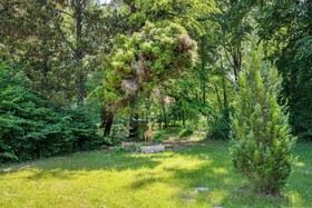 Le Petit Chateau De Barbizon