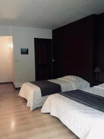 Auberge du Roselet