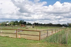 Mas Trinita-Gite Equestre En Camargue