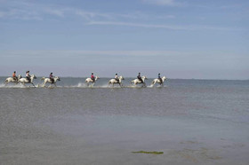 Mas Trinita-Gite Equestre En Camargue