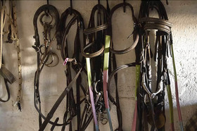 Mas Trinita-Gite Equestre En Camargue