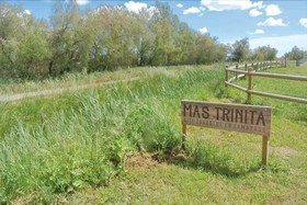 Mas Trinita-Gite Equestre En Camargue