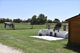 Mas Trinita-Gite Equestre En Camargue