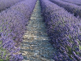 La Parenthèse Banon