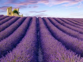 La Bastide des Templiers