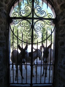 Une Campagne en Provence
