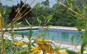 Une Campagne en Provence