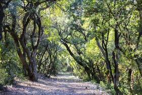 Chateau De Collias Hotel & Restaurant