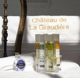 Château De La Giraudière à Villeny