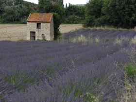 La Devinière