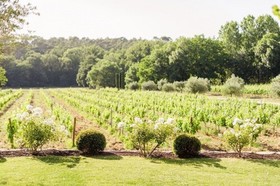 La Bastide De Fangouse