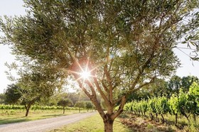 La Bastide De Fangouse