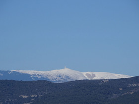 La Louvière des Bruyères