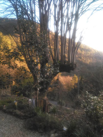 Au Mas Des Sources Cevenol