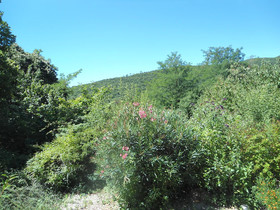 Couleur Nature Cevennes