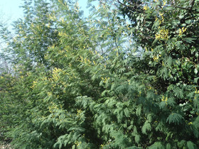 Couleur Nature Cevennes