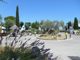 Camping Le Camarguais