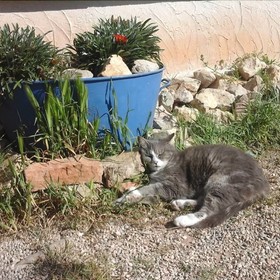 Ecoutez Les Oiseaux