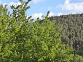 Domaine Aigoual Cévennes