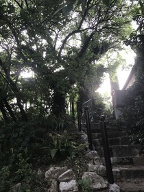 Le Mas Des Fontaines