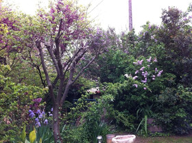 Le Mas Des Fontaines