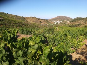 Intense Boutik-Hôtel