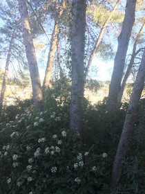 Kyriad Montpellier Nord- Saint-Clément-de-Rivière