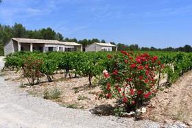 Les Lodges du Pic